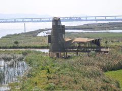 -漩门湾国家湿地公园