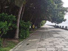 -深圳湾公园(南山区)