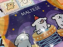 -IPSTAR·潮玩星球·主题店