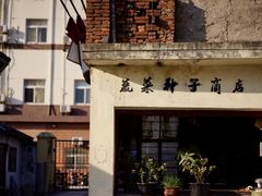 -三林塘老街