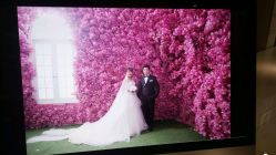 点击看大图 -太郎花子婚纱摄影艺术中心
