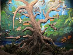 -辽宁古生物博物馆