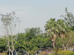 -府河摄影公园
