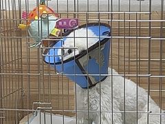 -联合动物医院(光谷诊疗中心)