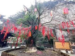 -车溪民俗旅游区