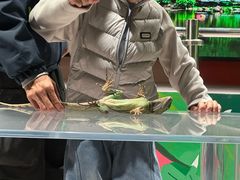 -上海大自然野生昆虫馆(东方明珠·爬宠昆虫探索中心)