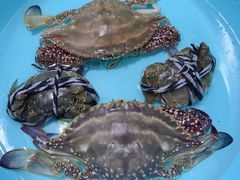 -青石桥市场北1-27号