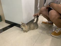 -惠西湾原切牛排生鲜(荣巷店)