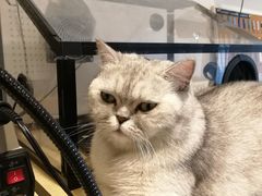 -Oasis绿洲银饰珍珠手作diy(壹方城店)