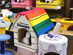 -帕帕拉兹宠物(亚洲旗舰店)