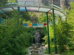 -十渡东湖港风景区