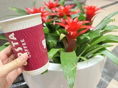 -COSTA COFFEE(上海虹口公园店)