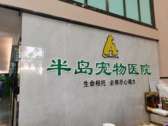 -半岛宠物医院24小时(科华中路店)