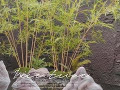 -宫七SPA·高端Massage(浦东大道店)