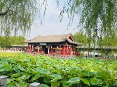 -济南大明湖景区