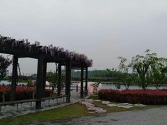 -上海鲜花港