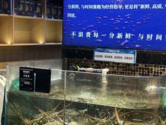 -海鲜e族(马王堆店)