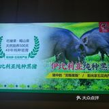 白露时节和烤肉更配哦～
