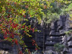 -梭布垭石林景区