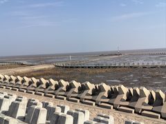 -南汇嘴观海公园