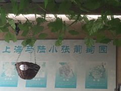 -马陆小张葡萄园农家乐