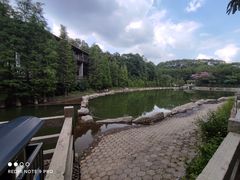 -广州市帽峰山景区