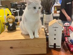 -咖法森林·咖啡  酒吧(天河店)