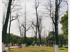 -太湖湖滨国家湿地公园-停车场