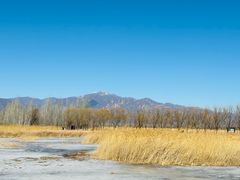-野鸭湖国家湿地公园
