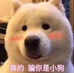 点击看大图 -艾米莉 烫染沙龙