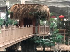 -南宫五洲植物乐园