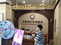 -宠爱国际动物医院· 猫科· 外科·中兽医(长白店)