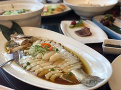 鱈龙鱼-湯記傳菜
