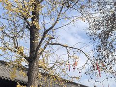 -钱王祠