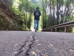 -凤栖山