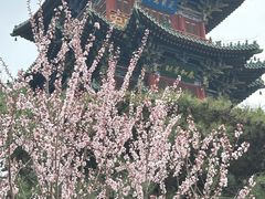 -迎泽公园