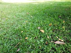 -云溪植物园