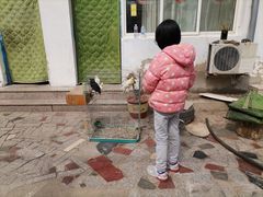 -姥家大锅台水库渔家