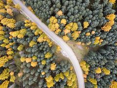 -芦芽山旅游度假区
