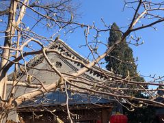 -大觉寺-停车场