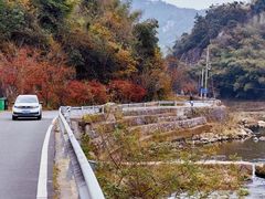 -四明山国家森林公园