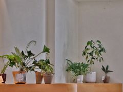 -fishtank鱼缸咖啡(三山街店)