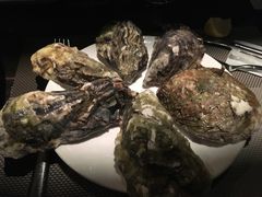 -Casa Fina Seafood & Oyster Bar