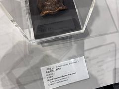 -北京周口店北京人遗址博物馆