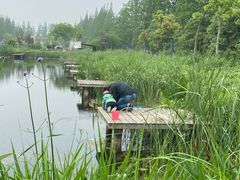 -前小桔亲子创意农场·草莓采摘·露营烧烤