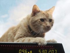 -博纳UA影城(KK Mall IMAX店)