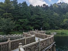-庐山风景区花径公园
