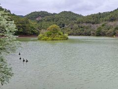 -广州白江湖森林公园