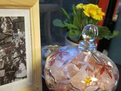 休息区的小花-南京夫子庙国际青年旅舍(平江府路店)