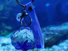 -海合安武汉极地海洋公园